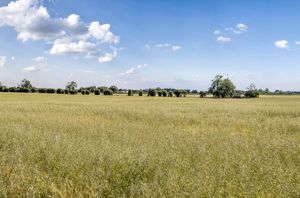 Photo 18- click for photo gallery